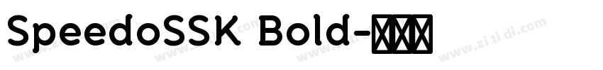 SpeedoSSK Bold字体转换
